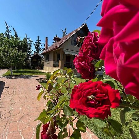 Villa Katerina Nea Kallikrateia ภายนอก รูปภาพ