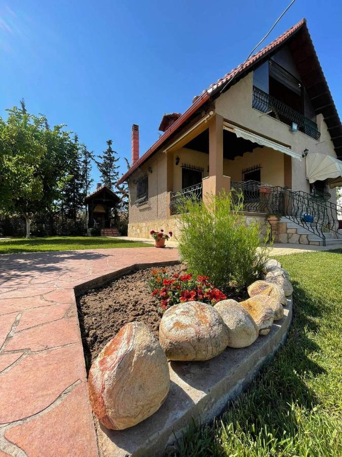 Villa Katerina Nea Kallikrateia ภายนอก รูปภาพ