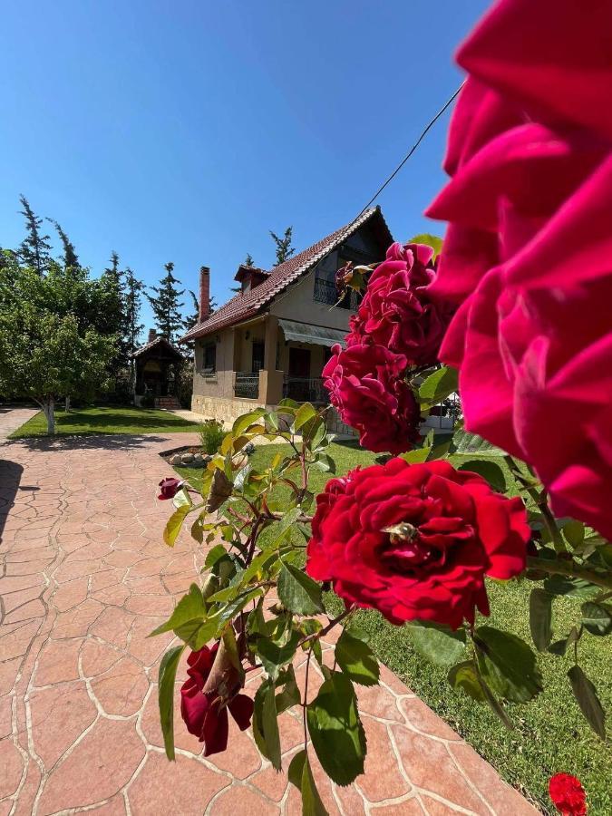 Villa Katerina Nea Kallikrateia ภายนอก รูปภาพ